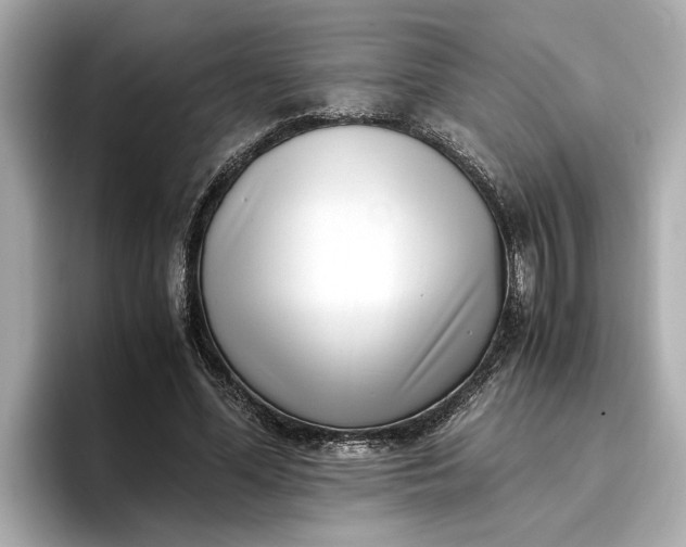 X0000096960588200802221344