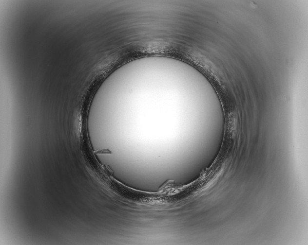 X0000096960589200802221344