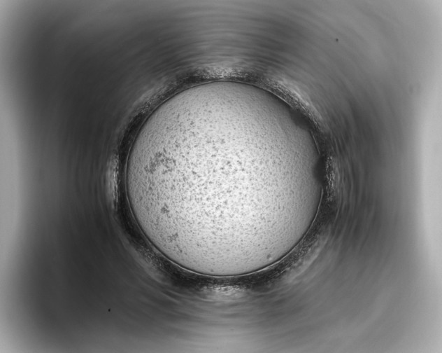 X0000096960590200802221344