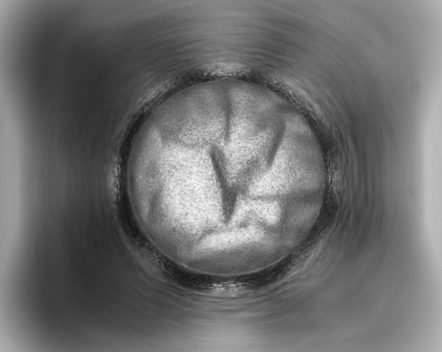 X0000096960591200802221344