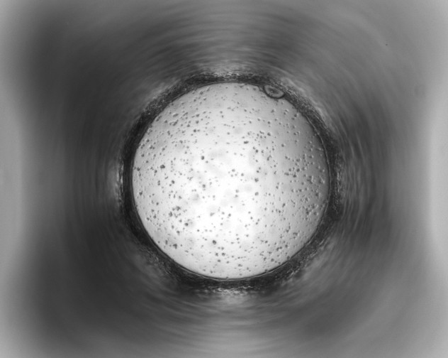 X0000096960592200802221344