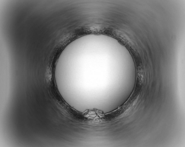 X0000096960593200802221344