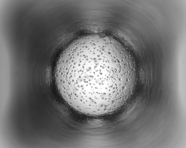 X0000096960594200802221344