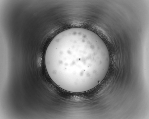 X0000096960596200802221344