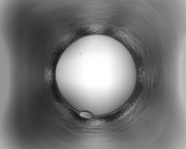 X0000096960597200802221344