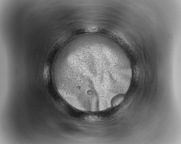 X0000096960598200802221344