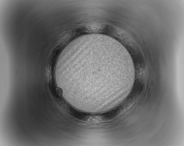 X0000096960599200802221344