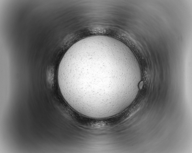 X0000096960600200802221344