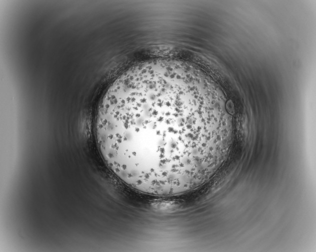 X0000096960602200802221344