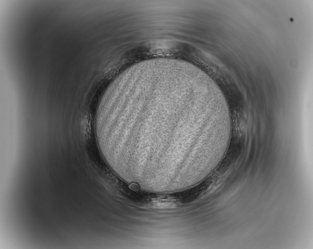 X0000096960603200802221344