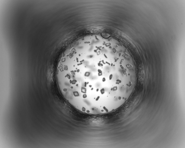 X0000096960604200802221344