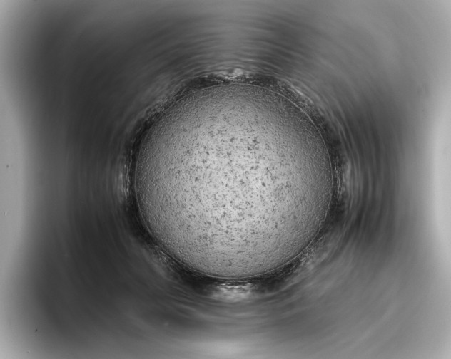 X0000096960606200802221343