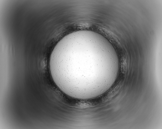 X0000096960608200802221343