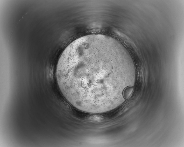 X0000096960610200802221343