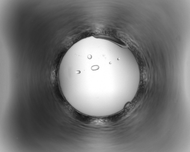 X0000096960611200802221343