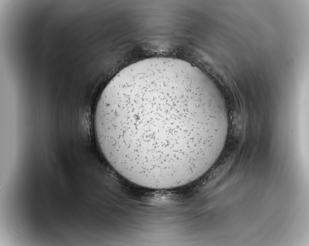 X0000096960612200802221343