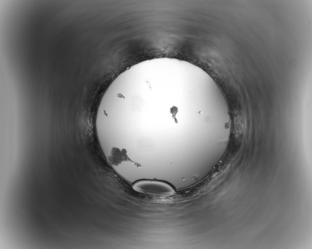 X0000096960613200802221343