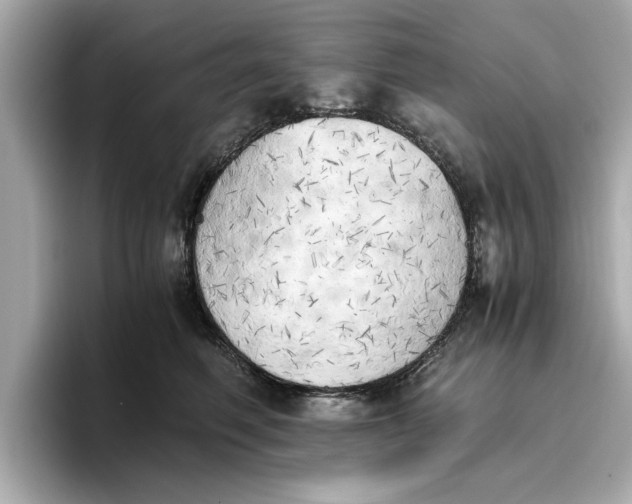 X0000096960614200802221343