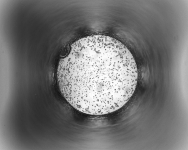 X0000096960615200802221343