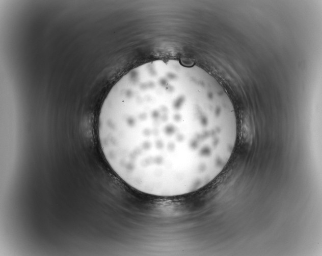 X0000096960616200802221343