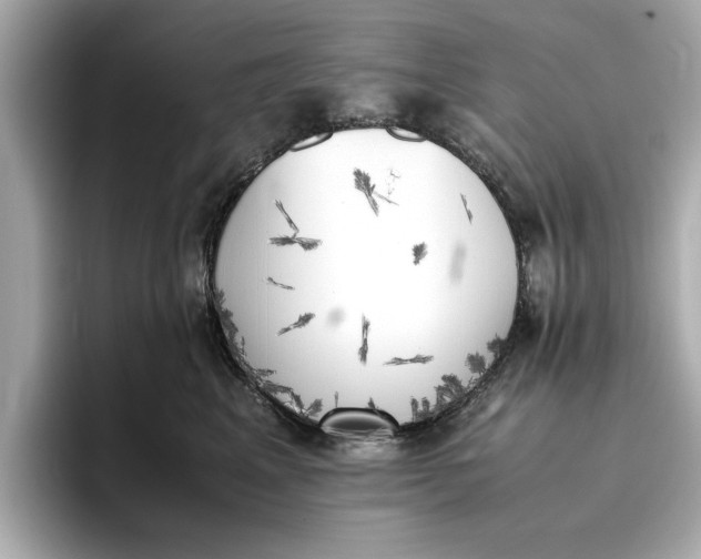 X0000096960617200802221343