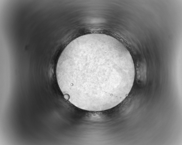 X0000096960618200802221343