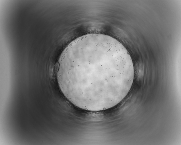 X0000096960619200802221343