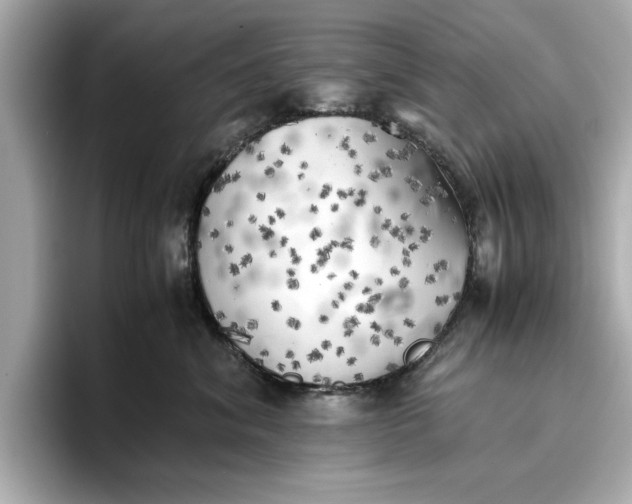 X0000096960620200802221343