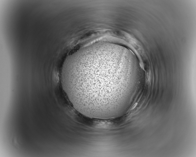 X0000096960621200802221343