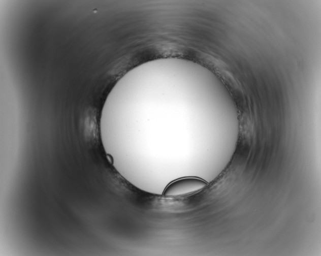 X0000096960622200802221343