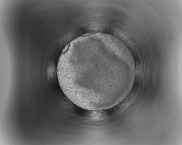 X0000096960623200802221343