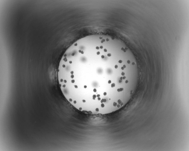 X0000096960624200802221343