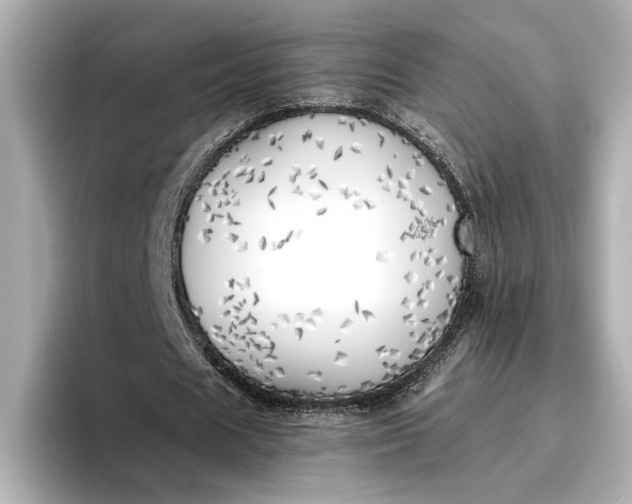 X0000096960625200802221343