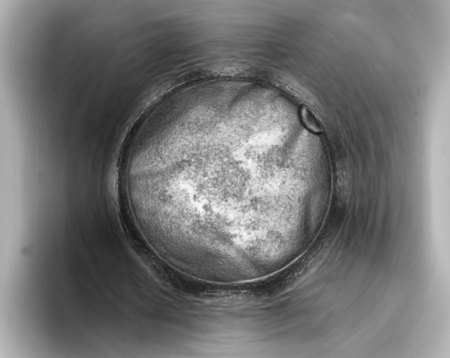 X0000096960626200802221343