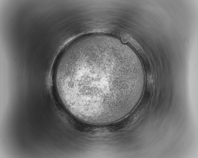 X0000096960628200802221343