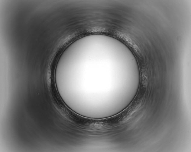 X0000096960631200802221343