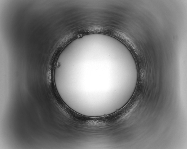 X0000096960633200802221343