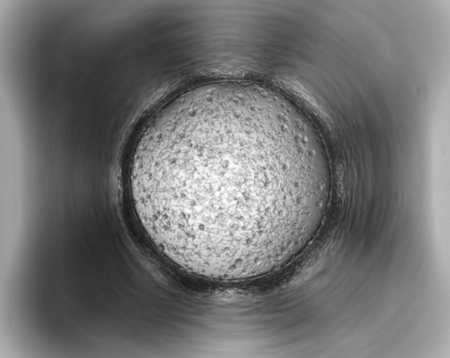 X0000096960634200802221343