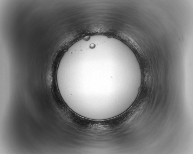 X0000096960635200802221343