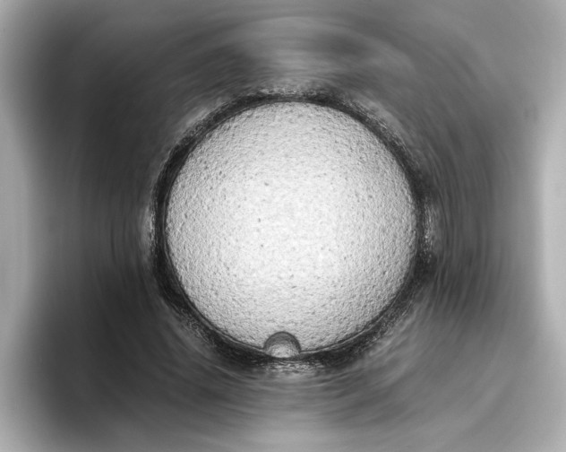 X0000096960636200802221343