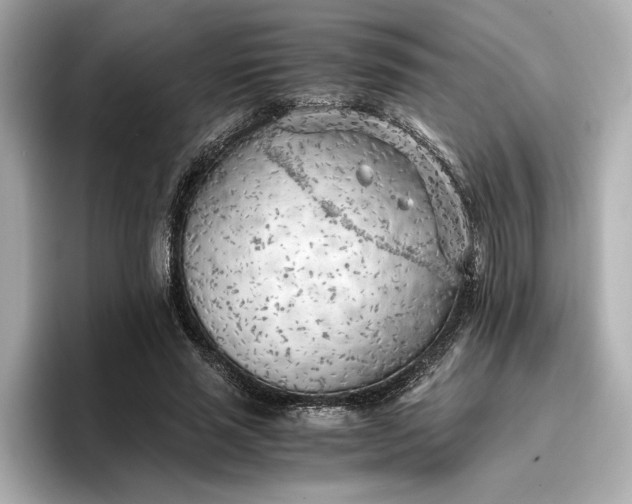 X0000096960637200802221343