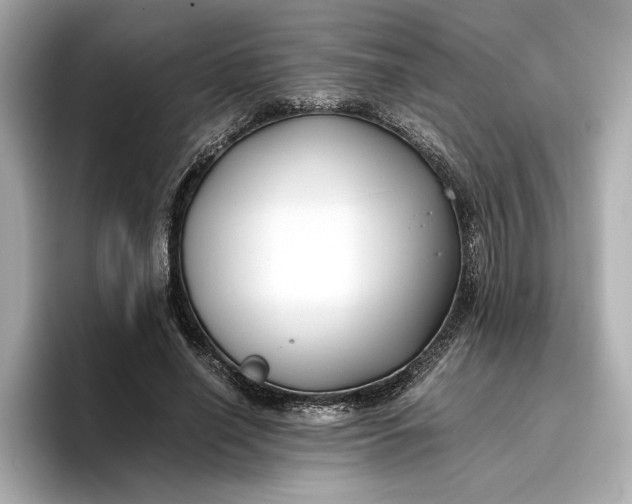 X0000096960638200802221343