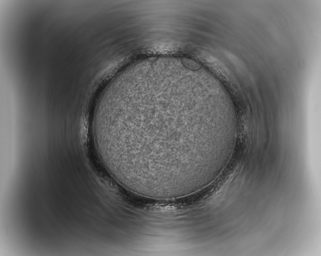 X0000096960640200802221343