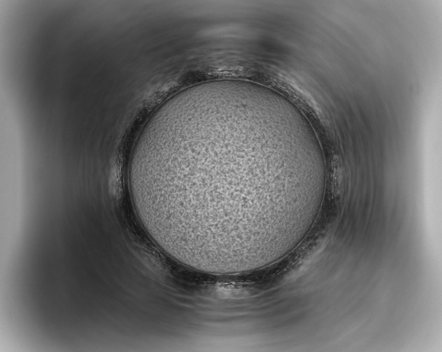 X0000096960641200802221343