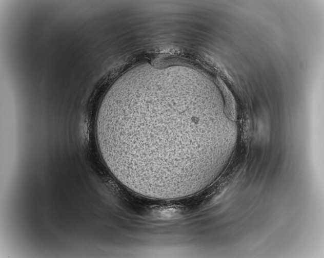 X0000096960643200802221343