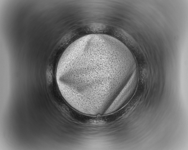 X0000096960644200802221343