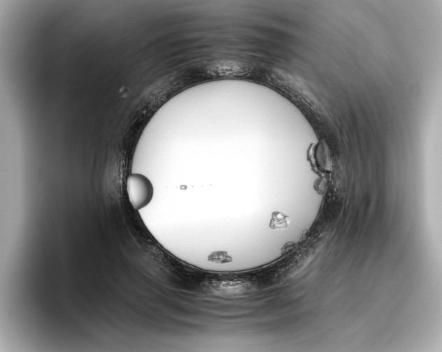 X0000096960645200802221343