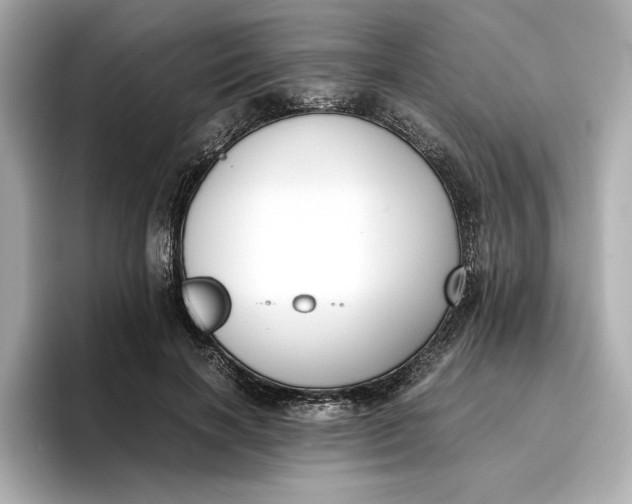 X0000096960646200802221343