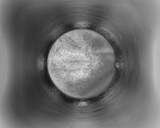 X0000096960647200802221343