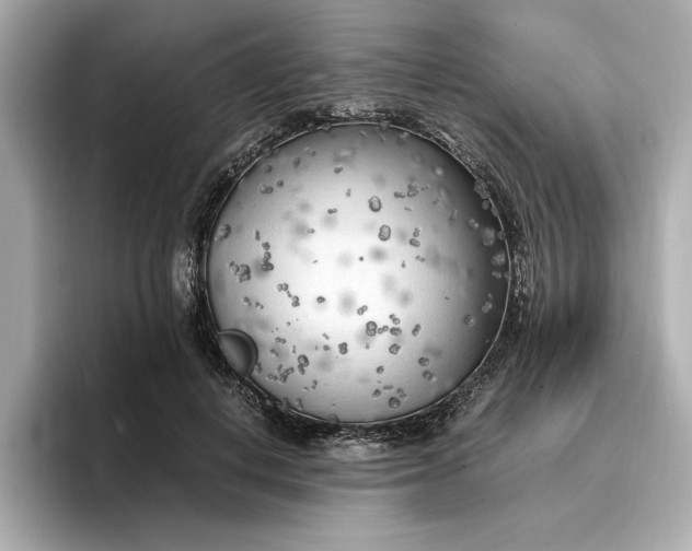 X0000096960648200802221343